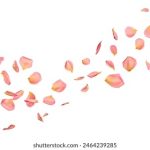 阿朱海底捞:精彩视频带你领略美食魅力 0p5je4xr