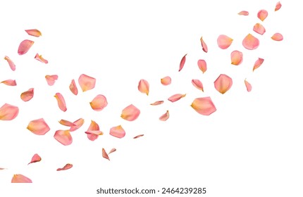 阿朱海底捞：精彩视频带你领略美食魅力