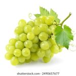 闪电下载电脑版:快速便捷的文件下载工具,提升你的下载体验 96roaz6