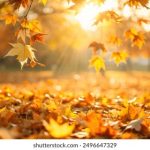 陆剧梅花红桃:情感交织的浪漫故事 c0g818xf