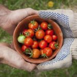 集韵在线查询:轻松获取古籍韵文信息的便捷工具 ecax99v34