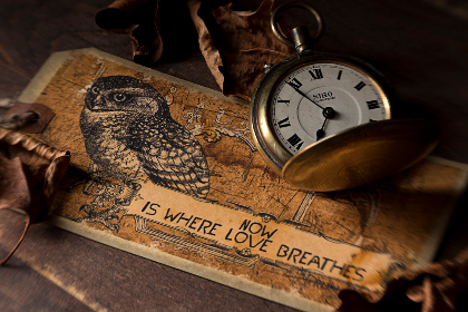 集芳阁地址查询及周边交通指南