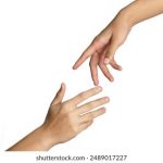 雨花阁bt官网:探索最新资源与精彩内容的最佳平台 v136q2ne