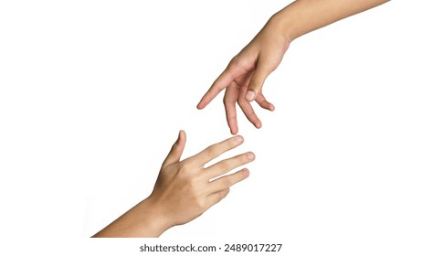 雨花阁bt官网：探索最新资源与精彩内容的最佳平台